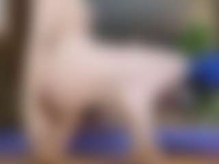 Live cam show with Kaskie - Hairy Pussy Lovense on Camsoda