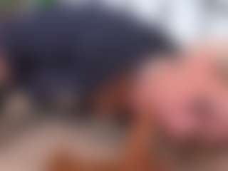 IsadoraDunkan's Live Sex Cam Show