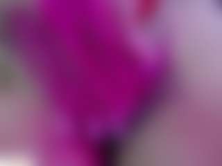 CATALAIA-STOMM's Live Sex Cam Show