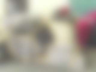 Live cam show with francheska-power - Ass To Mouth on livesuperchat.net