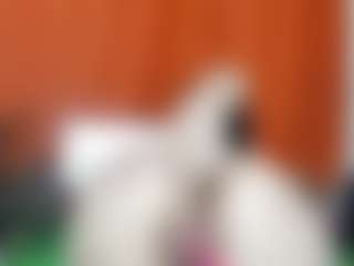 springlight's Live Sex Cam Show