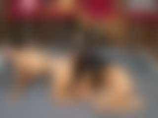 Live cam show with dayannawins - Threesome on CSO-WL