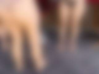 Live cam show with dayannawins - Teen (18+) on Gym Cam Girls