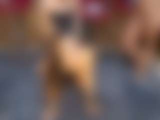 Live cam show with dayannawins - Asshole on camgirlchat.live