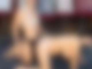 Live cam show with dayannawins - Ebony Lush on Sweet Sext