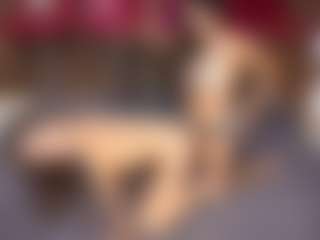 dayannawins's Live Sex Cam Show