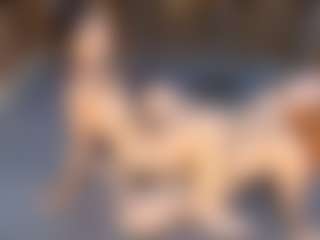 Live cam show with dayannawins - Eating Pussy on fapnchat