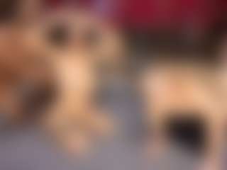 dayannawins's Live Sex Cam Show
