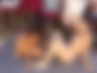 dayannawins's Live Sex Cam Show