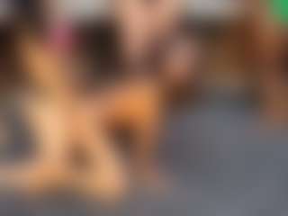 Live cam show with dayannawins - HD on Fit Hotties
