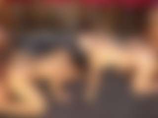 Live cam show with dayannawins - Public Ebony on Camsoda