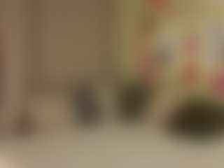 Live cam show with MeganCooks - Shorthair on dasdasdadada.com