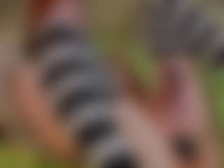 Molly's Live Sex Cam Show