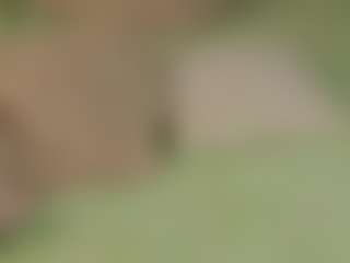 Live cam show with Molly - College Brown Hair on eurowanks.com
