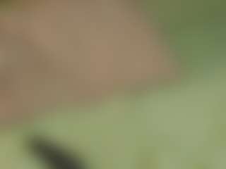 Live cam show with Molly - Natural on infinitiblacc.com