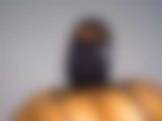 Xpanther24's Live Sex Cam Show