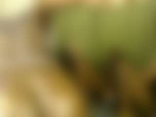 Live cam show with Black-betty - Squirt Teen (18+) on CamSodaAdn