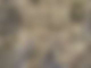 Isabella's Live Sex Cam Show