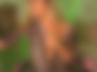 sinwithamy's Live Sex Cam Show