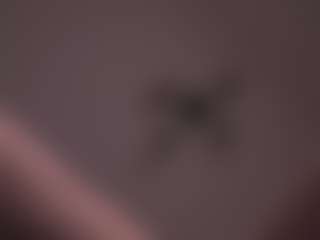 TheaCooling's Live Sex Cam Show