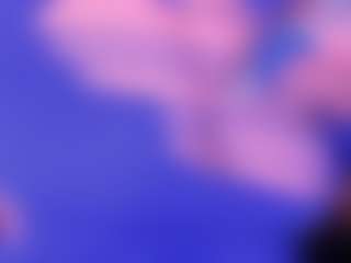 Live cam show with Cloe-adams - Tease on StripNow