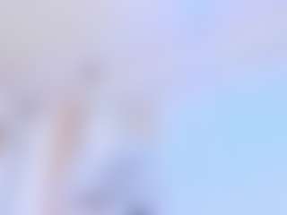 SalomeBenz's Live Sex Cam Show