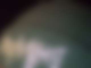 MilfMonkey's Live Sex Cam Show