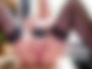 Liloukatt's Live Sex Cam Show