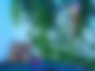 666ariyasmodeo's Live Sex Cam Show