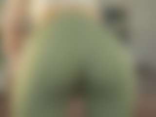 OttilieAlder's Live Sex Cam Show
