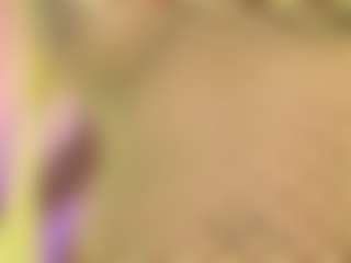 lilacohen's Live Sex Cam Show