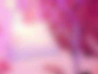 PamelaAddams's Live Sex Cam Show