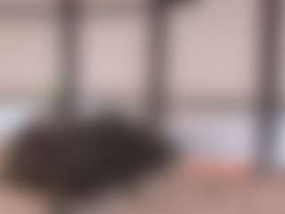 Live cam show with JulietAdair - Brown Hair on Strip Flash - Live Sex Shows
