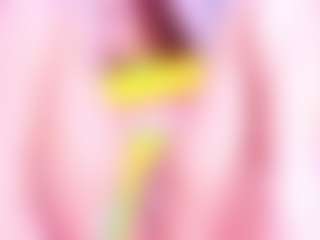 MiaVelveett's Live Sex Cam Show