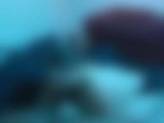 JustUs28's Live Sex Cam Show