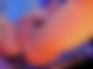 Nicol_gill's Live Sex Cam Show