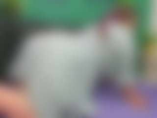 MonikaCharming's Live Sex Cam Show