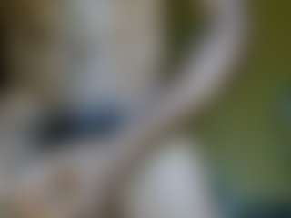 Dick-herr7's Live Sex Cam Show