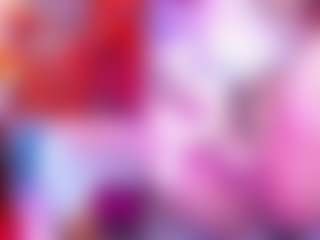 HaileyReid's Live Sex Cam Show