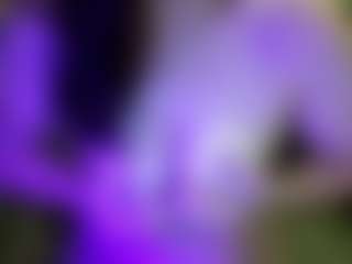 JesseJaymez's Live Sex Cam Show