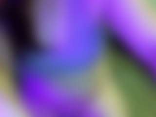 JesseJaymez's Live Sex Cam Show