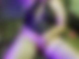 JesseJaymez's Live Sex Cam Show