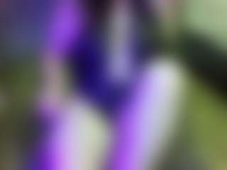 JesseJaymez's Live Sex Cam Show