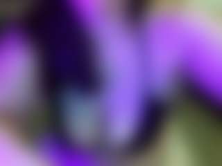 JesseJaymez's Live Sex Cam Show