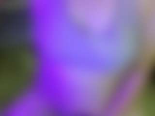 JesseJaymez's Live Sex Cam Show