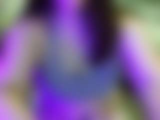 JesseJaymez's Live Sex Cam Show