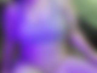 JesseJaymez's Live Sex Cam Show