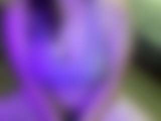 JesseJaymez's Live Sex Cam Show