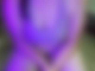JesseJaymez's Live Sex Cam Show