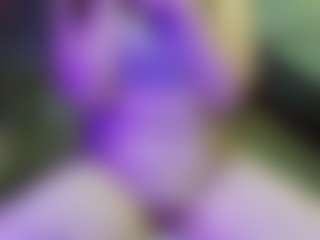 JesseJaymez's Live Sex Cam Show